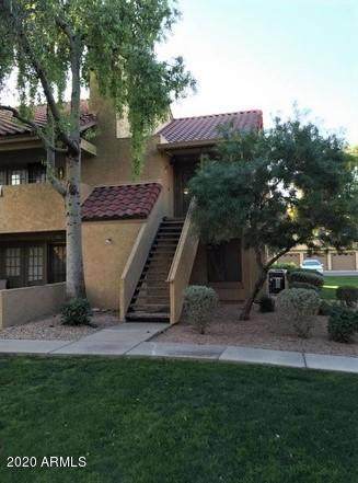 4901 Calle Los Cerros Drive - Photo 1 4901 Calle Los Cerros Drive - Photo 1