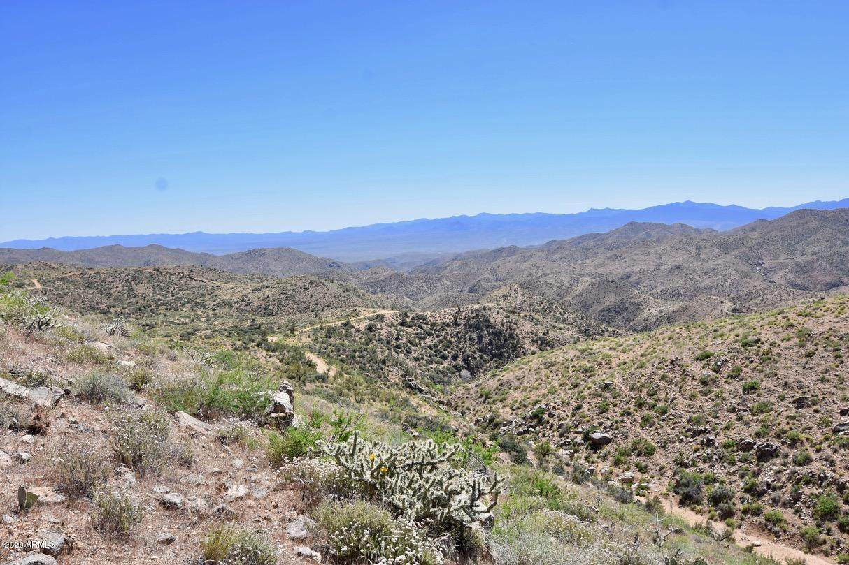 80 Acres Diamond Hitch Road - Photo 1