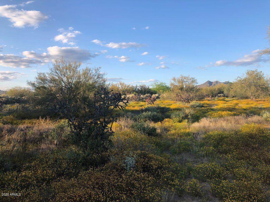 31525 49TH Way - Photo 1
