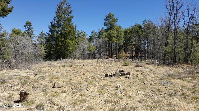 0 Tall Pine Trail - Photo 1