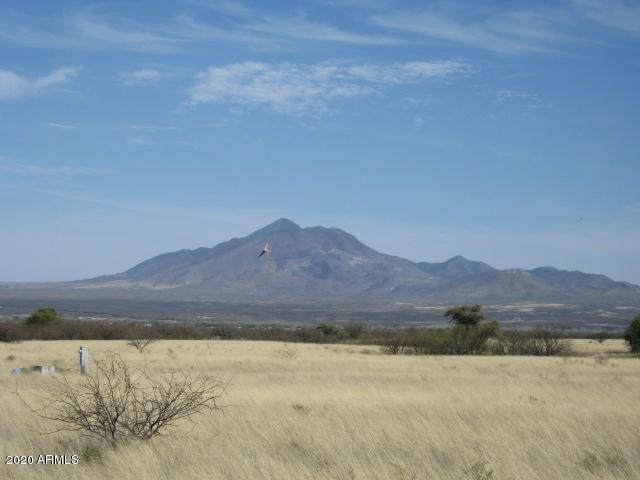 60A Los Amigos Trail - Photo 1