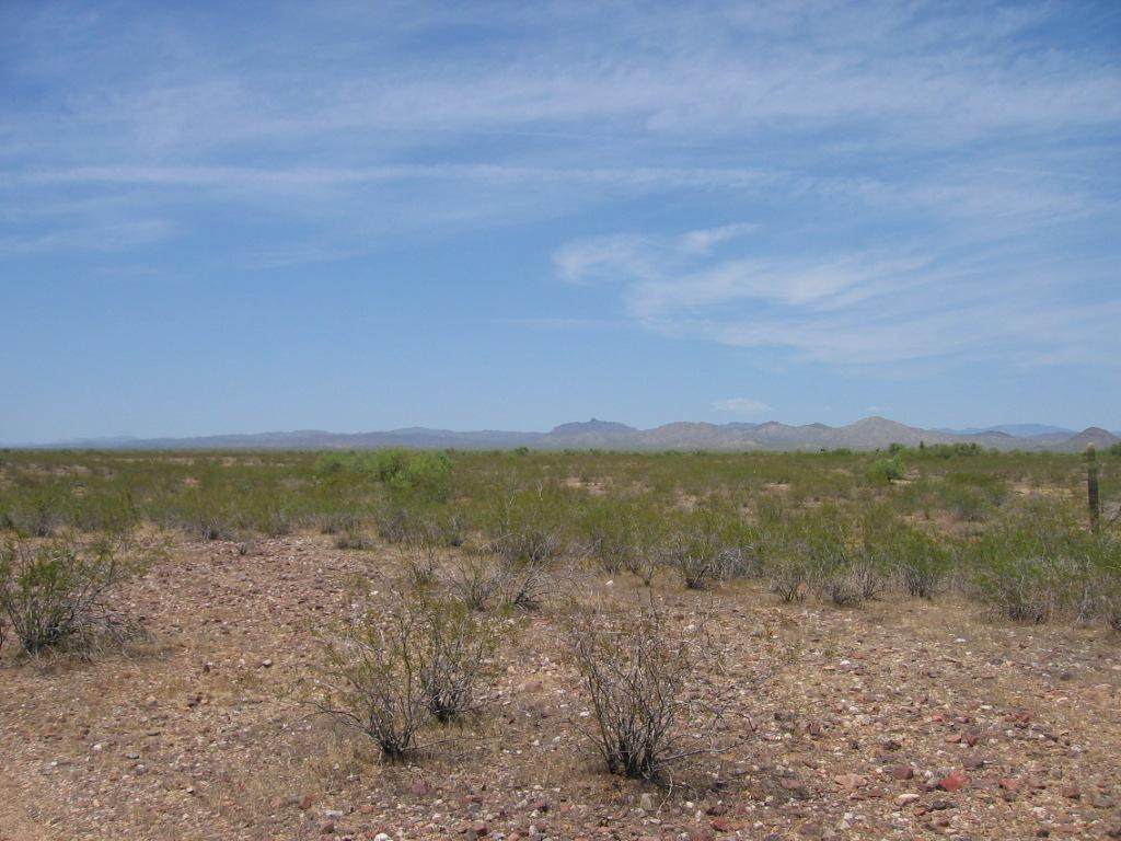 22100 Restin Road - Photo 1