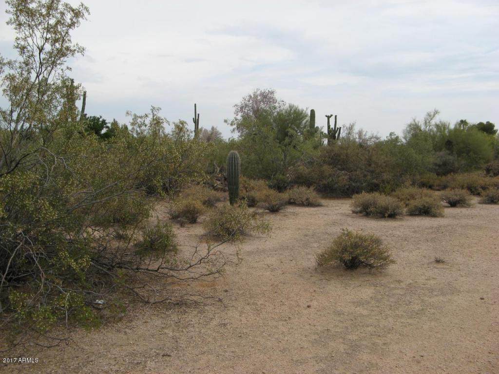 6215 Quail Track Drive - Photo 1