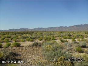 9325 Singletree Drive - Photo 1