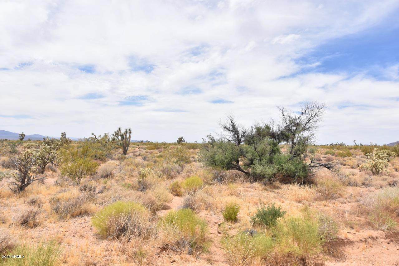 0 Javelina Road - Photo 1