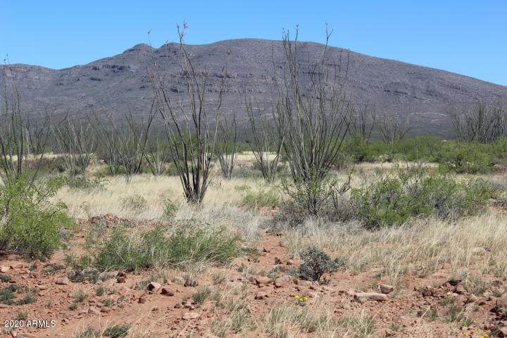 TBD High Desert Drive - Photo 1