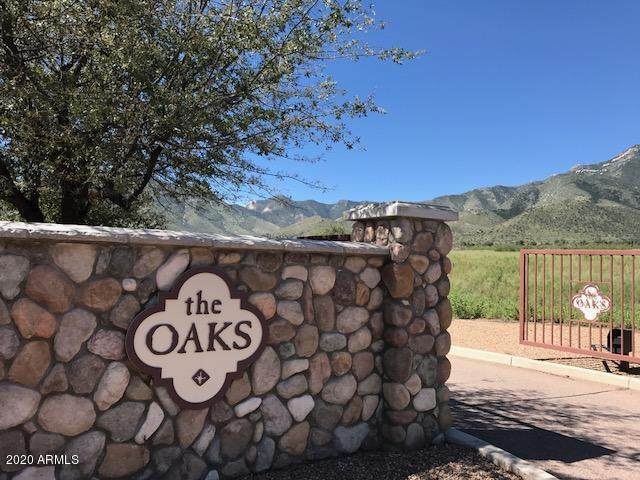 Lot 40 Black Bear Oak Drive - Photo 1
