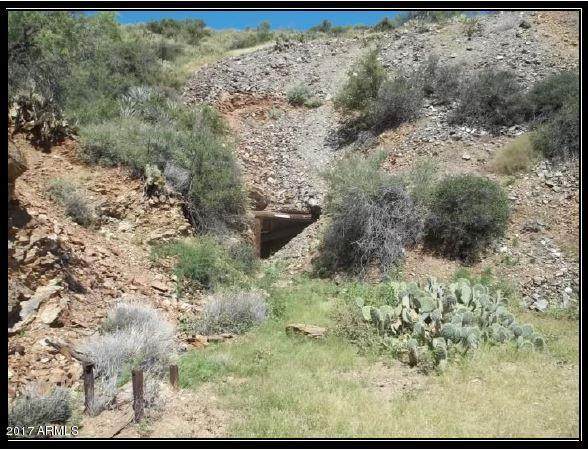000 Trilby Mine - Photo 1