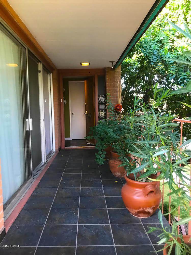 115 Palm Lane - Photo 1