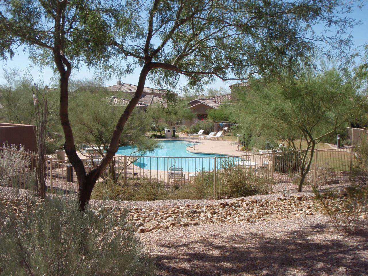 7445 Eagle Crest Drive - Photo 1