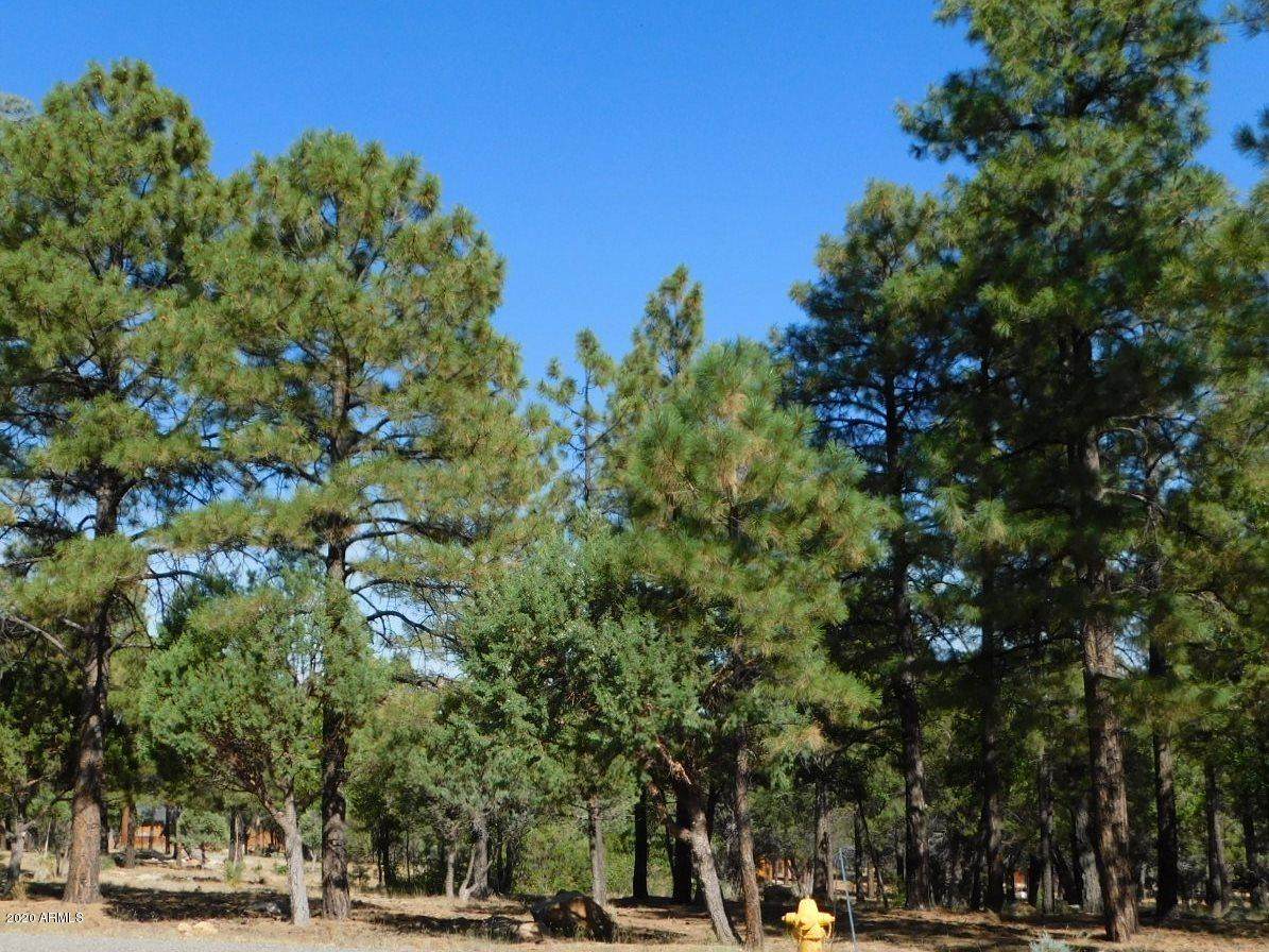 2683 Arapaho Drive - Photo 1