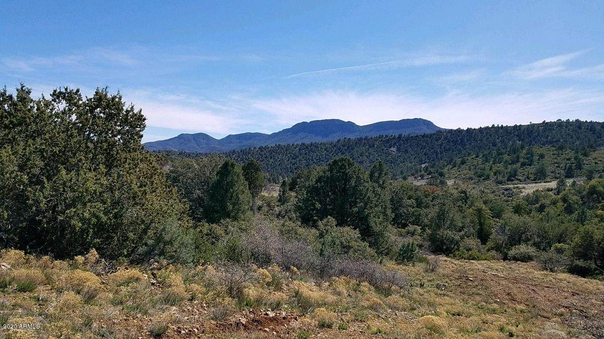 1076 Horseshoe Springs Road - Photo 1