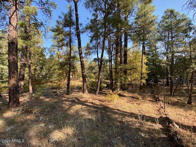 1036 Apache Lane - Photo 1