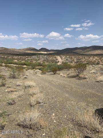 o Volcano Mine Road - Photo 1