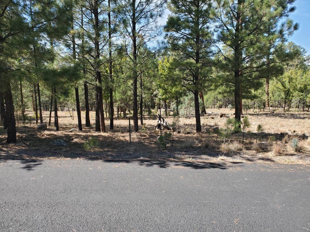 4357 Juniper Drive - Photo 1