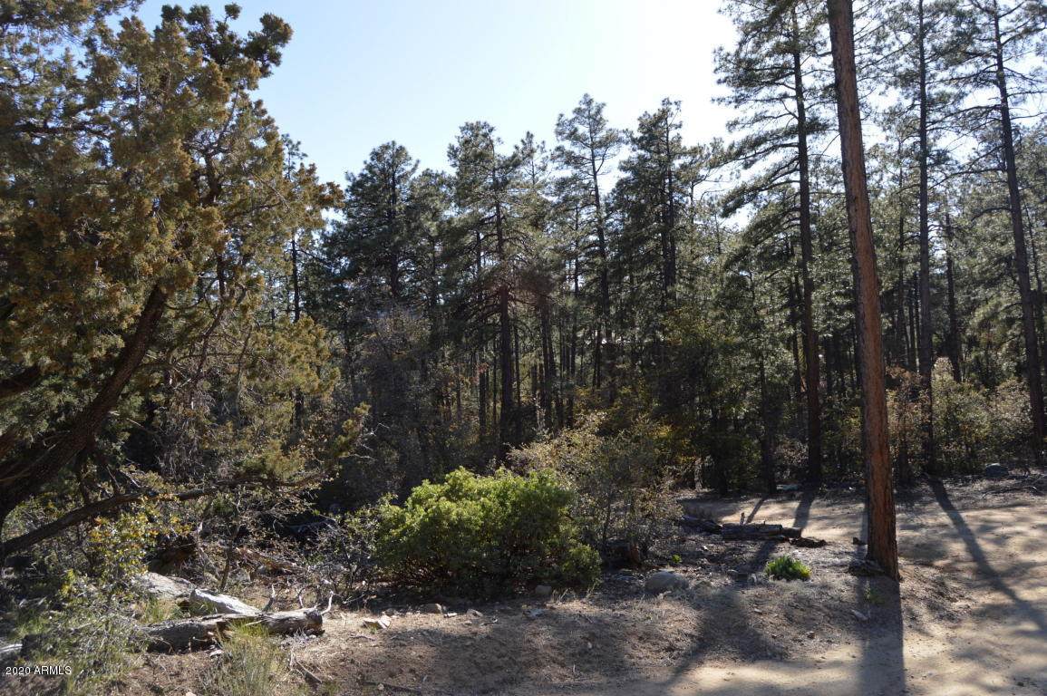 5385 Whispering Pines Road - Photo 1