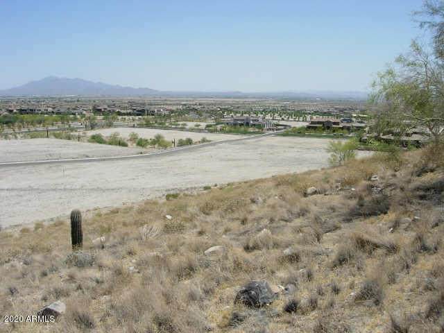 3524 Mountain Cove Place - Photo 1