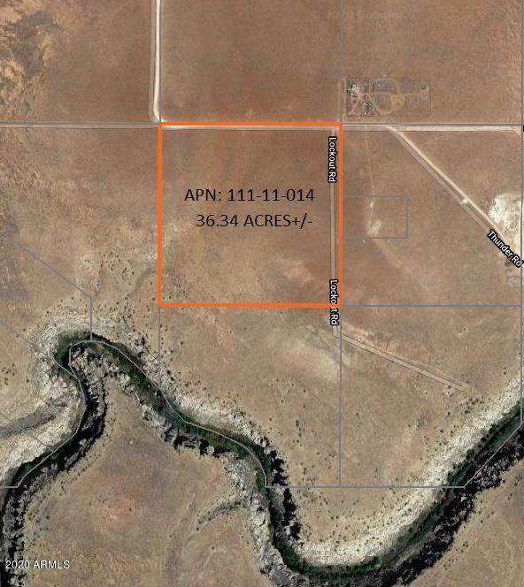 1381 Lasso Road - Photo 1