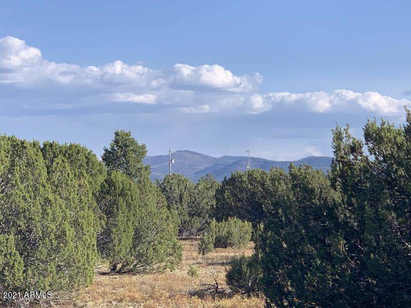 174 Co Rd 3187 4.5 Acres - Photo 1