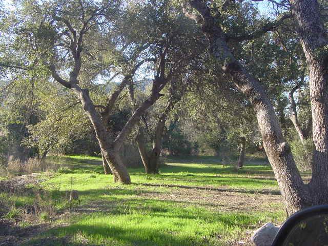 52975 Harper Road - Photo 1