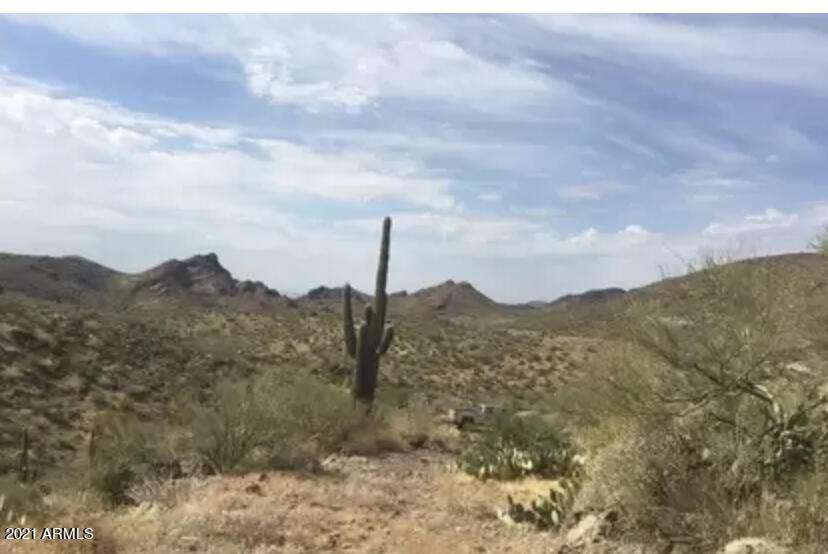 0 Columbia Mine Road - Photo 1