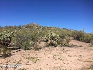 0 Elephant Butte Road - Photo 1
