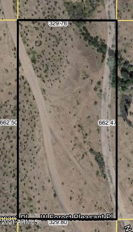 30110 Forest Pleasant Place - Photo 1