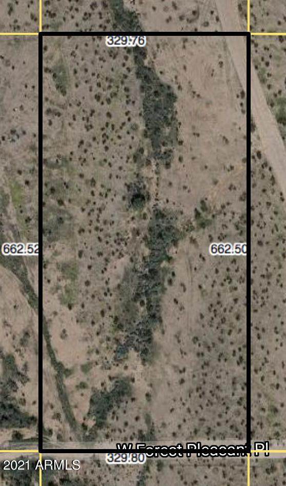 30115 Forest Pleasant Place - Photo 1