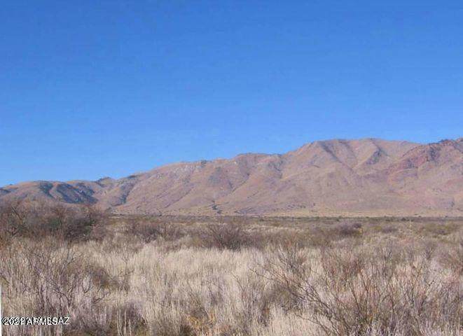 80 Acre Slope Along Way - Photo 1