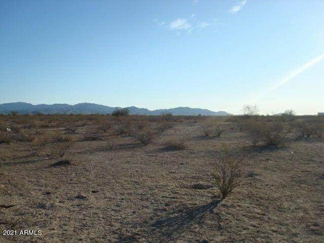 0 299th Avenue - Photo 1