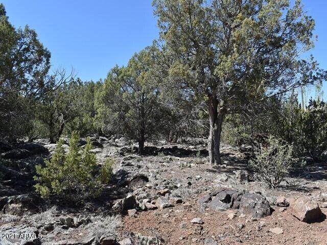 8465 Pinon Drive - Photo 1