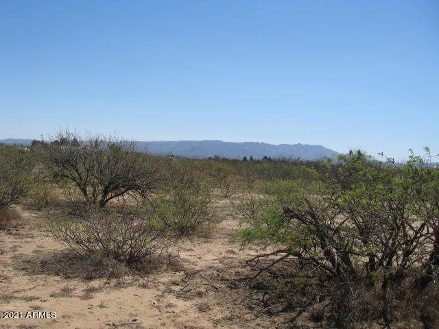 5651 Natoma Trail - Photo 1