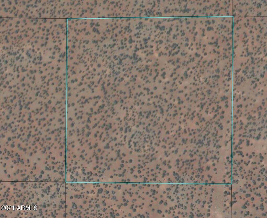 TBD 404-69-005B Shady Oak Trail - Photo 1