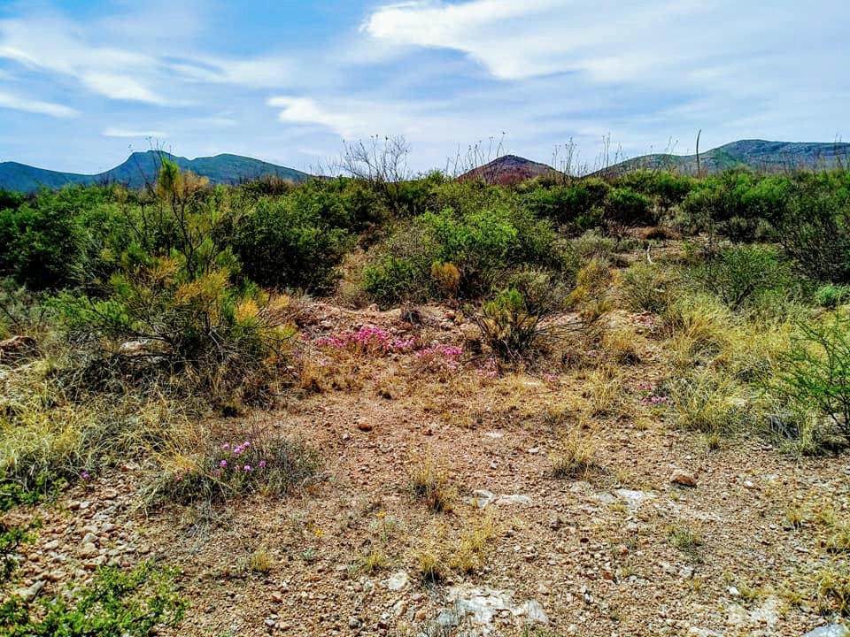 TBD Cochise Lane - Photo 1