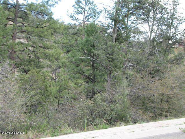 2225 Le Loup Drive - Photo 1