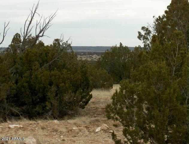 Lot 302 Chevelon Canyon Ranch - Photo 1