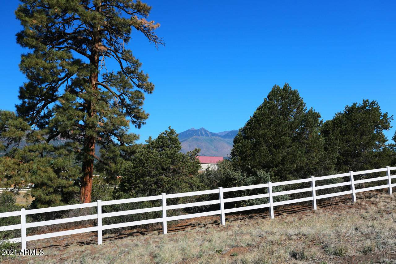 8037 Sleeping Dog Road - Photo 1