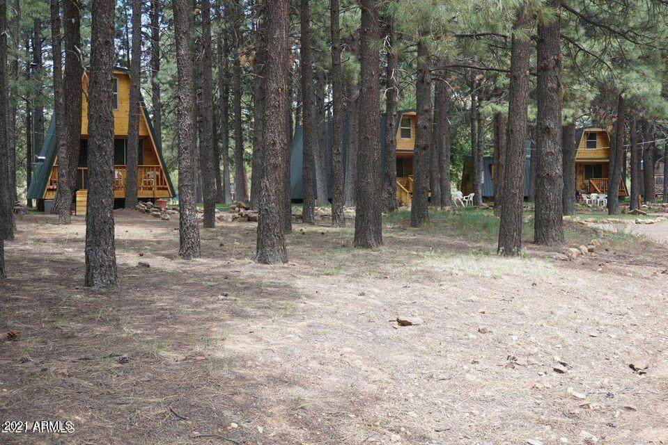 793 Bills Loop - Photo 1