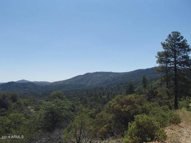 00 Towers Mountain Road - Photo 1
