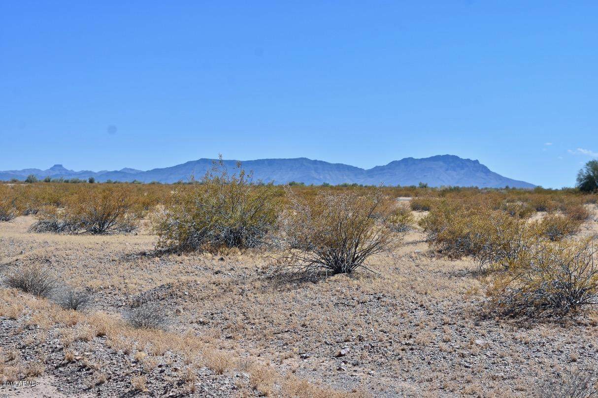 606XX 299th Avenue - Photo 1
