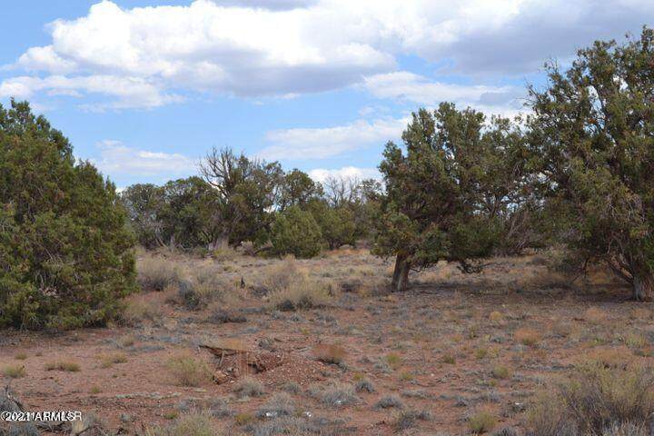 4329 Clydesdale Road - Photo 1