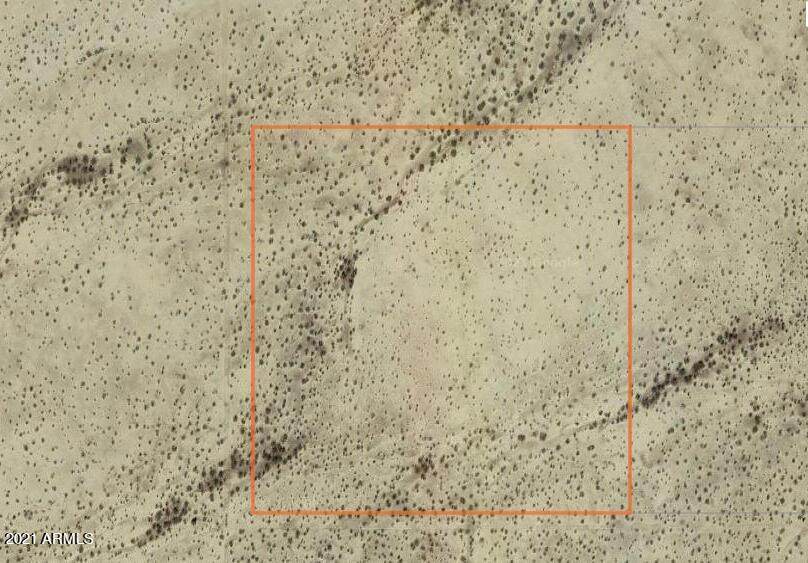 149XX Stagecoach Lane - Photo 1