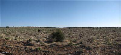 10990 Bright Sky Trail - Photo 1