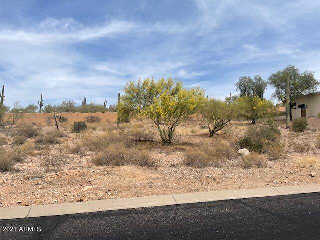 8890 Canyon Vista Drive - Photo 1