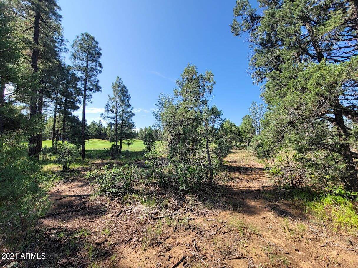 4041 Hawthorn Road - Photo 1