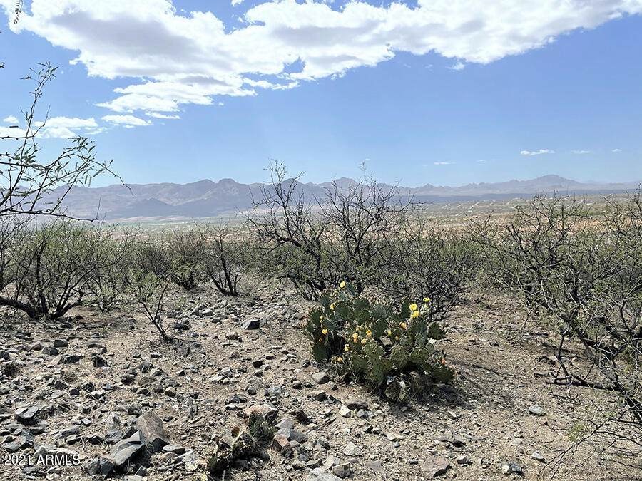 1755 Ruta Caravela - Photo 1