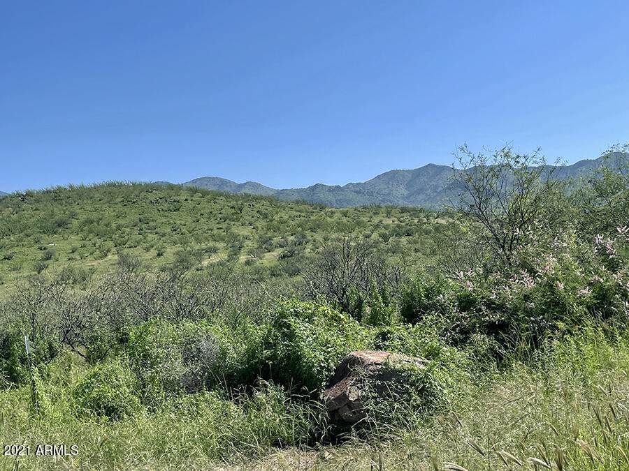 TBD Tejano Springs Rd - Photo 1