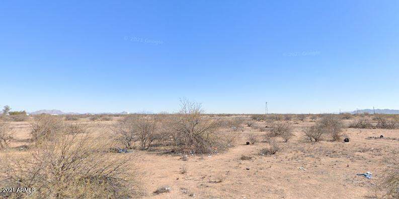 0 Cactus Wren - Photo 1