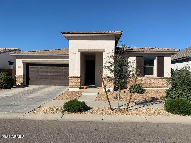 22466 Desert Spoon Drive - Photo 1
