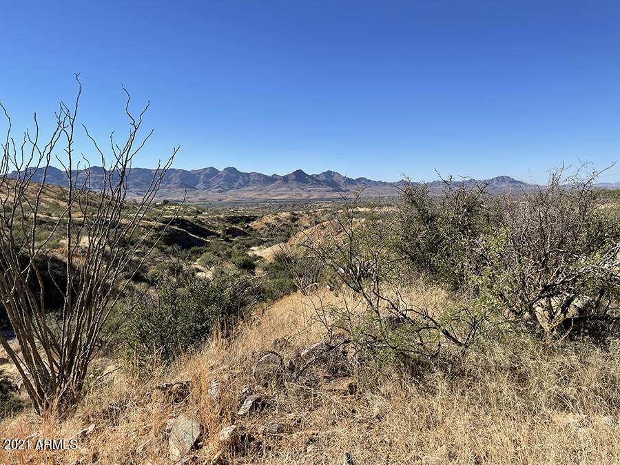 1689 Avenida Calamar - Photo 1